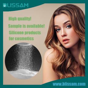 Silicone Micro Powder BL-P100 Series